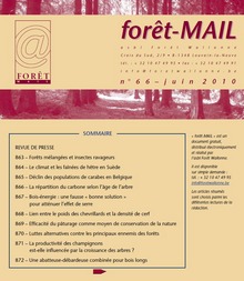 Forêt-Mail - Vignette