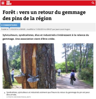 Sud-Ouest - GEMME la Forêt d'Aquitaine - 20140311 - Vignette