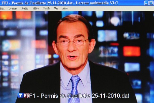 TF1 - Permis de Cueillette - Vignette