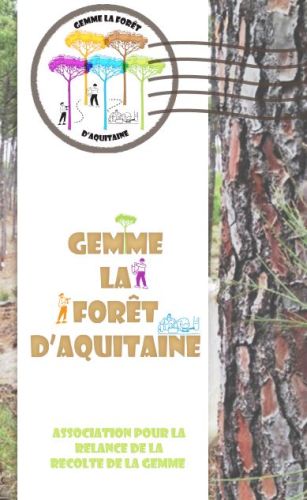 GEMME !... la Forêt d'Aquitaine - Dépliant - Vignette