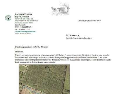 Dégradations en forêt - Exemple 5 - Victor A. - Vignette