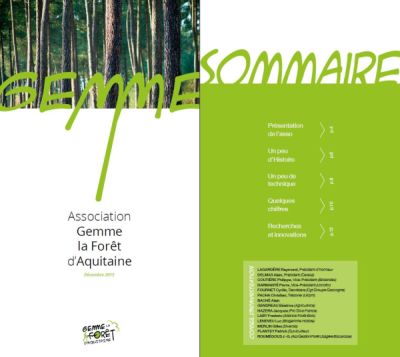 GEMME !... la Forêt d'Aquitaine - Brochure - Vignette