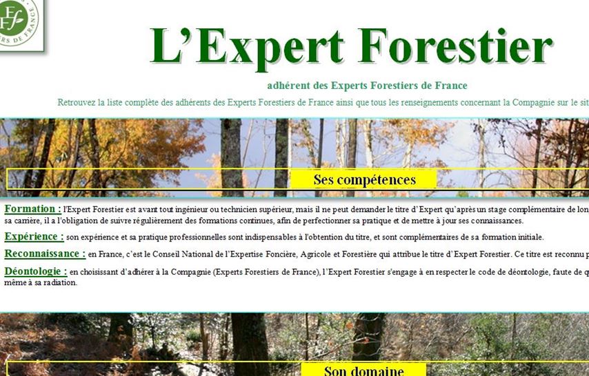 L'Expert Forestier - Vignette