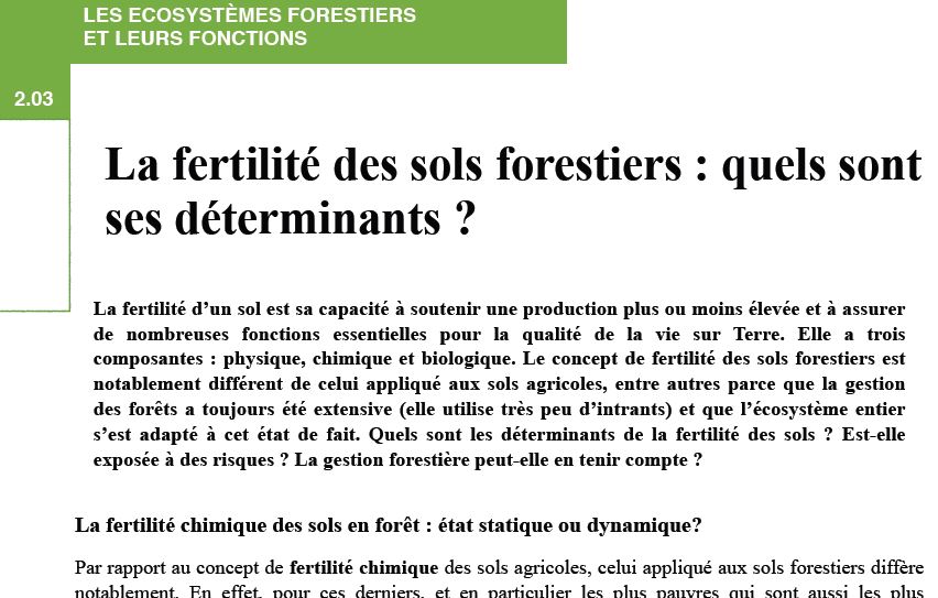 Jacques Ranger - La fertilité des sols forestiers - Vignette