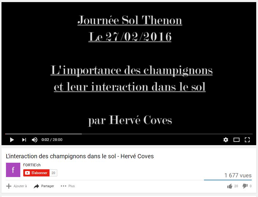 Hervé Covès - Les champignons et leurs interactions - Vignette