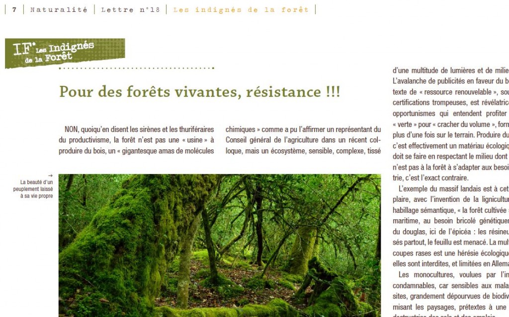 Pour des forêts vivantes, résistance ! - Vignette