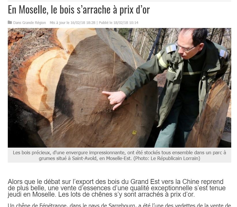 Vente de chêne en Moselle - Vignette